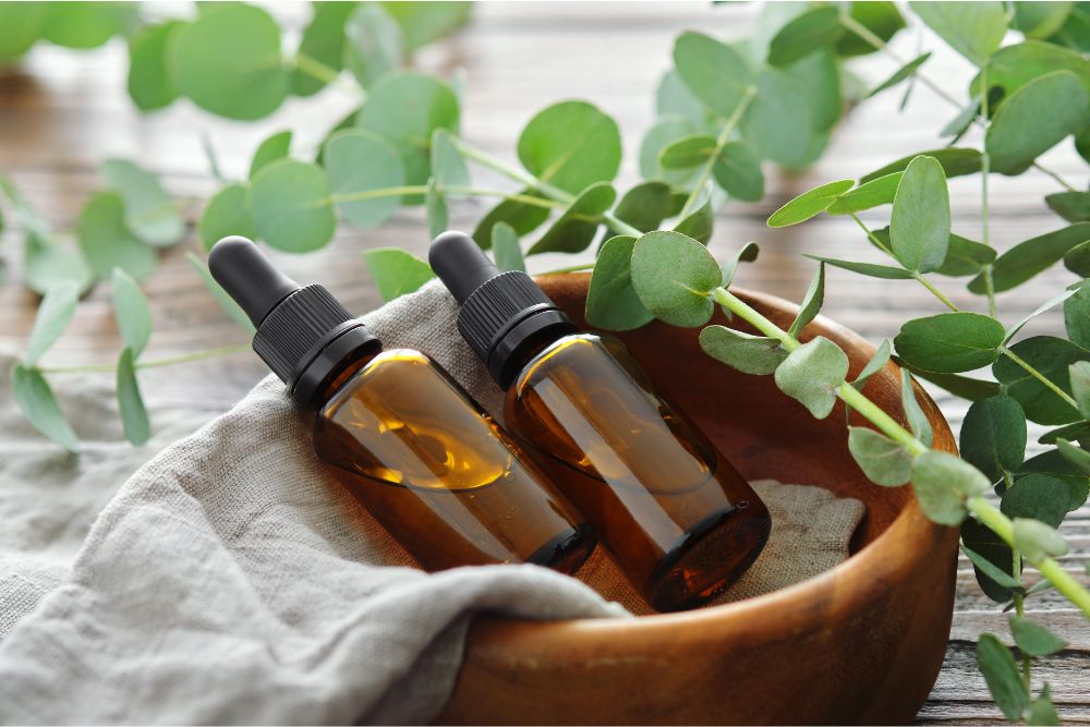 Olio di eucalipto in un piccolo flaconcino con foglie di eucalipto fresche - cura naturale della pelle