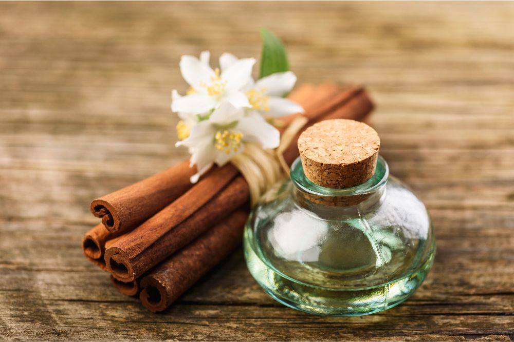Raccolta a mano di piante aromatiche per la produzione di oli essenziali rari