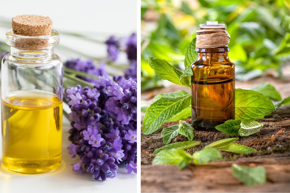 Aromadiffusore con vapori tra erbe secche e oli essenziali