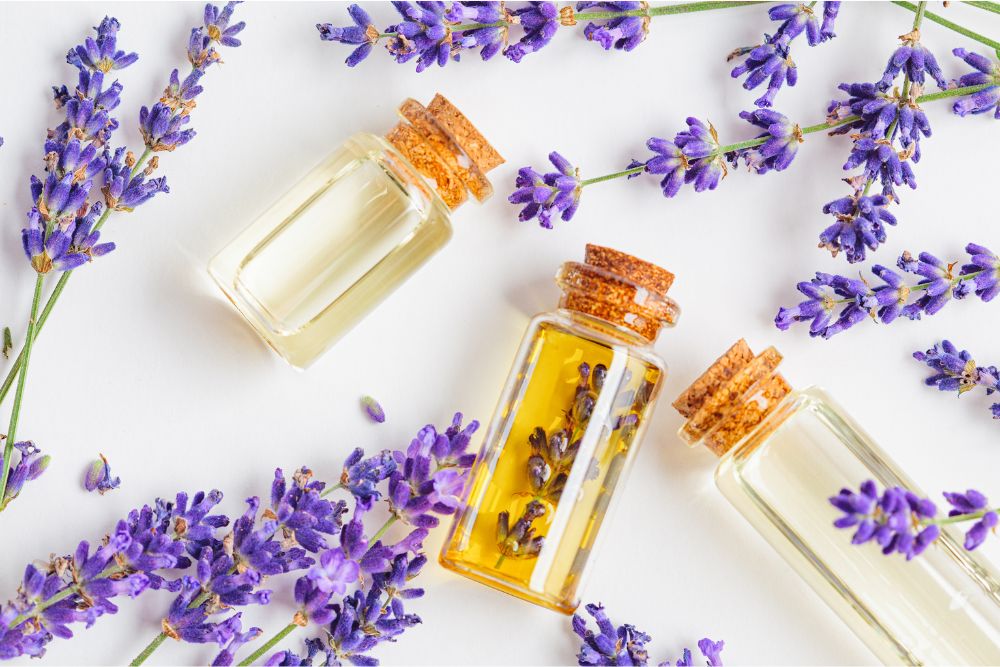 Olio essenziale di lavanda in un flaconcino scuro con lavanda fresca - aromaterapia naturale