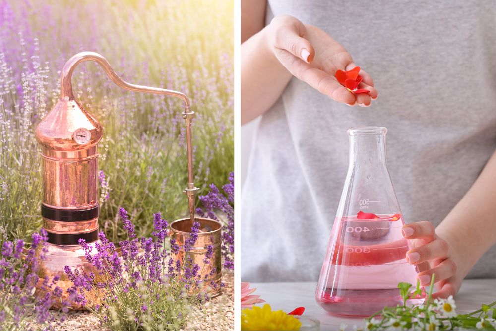Scelta del metodo di produzione dell'olio essenziale