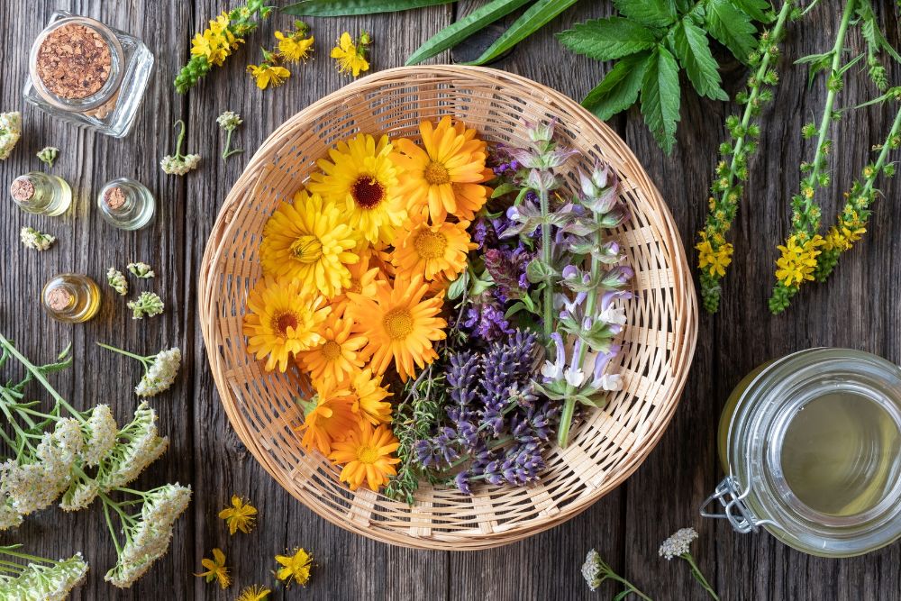 Apparecchio di distillazione per la produzione di oli essenziali con materiale vegetale