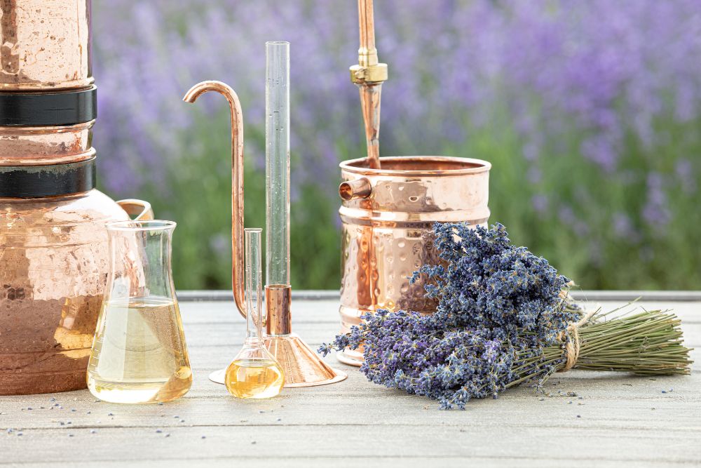 Processo di spremitura a freddo degli agrumi per ottenere l'olio essenziale